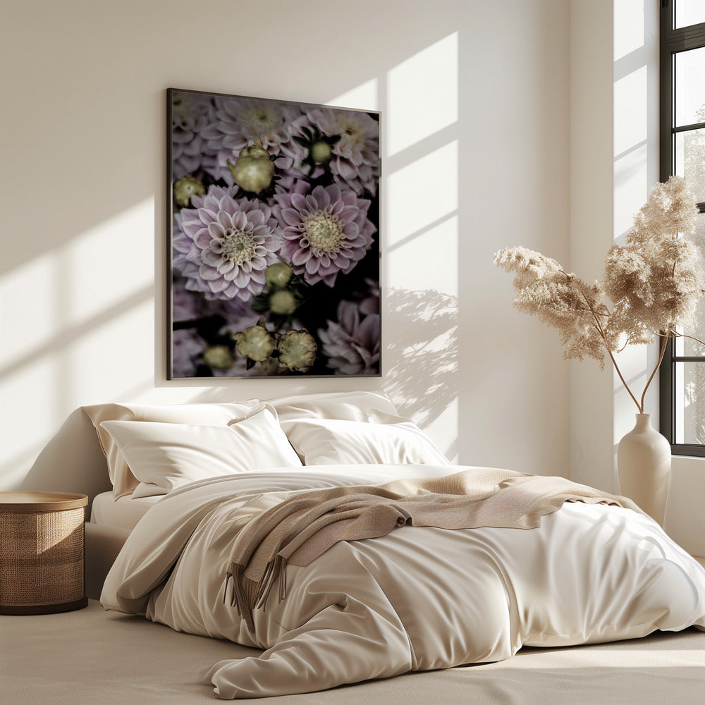 Petals in Bloom | Poster