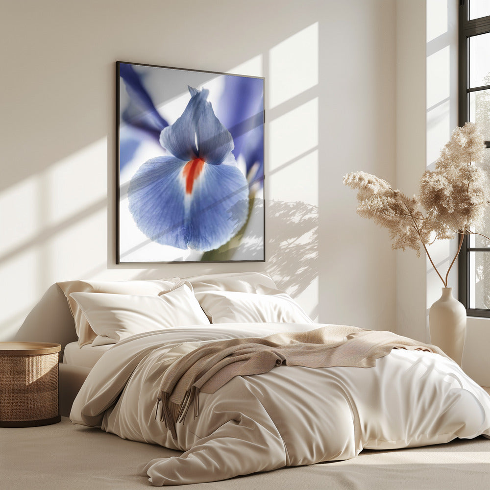 Blossom Whisper | Poster
