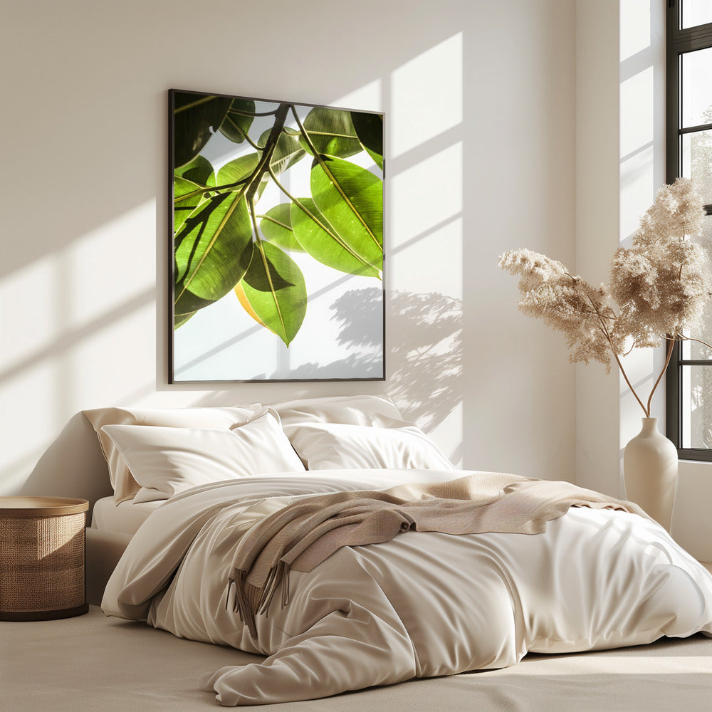 Sunlit Leaves | Poster