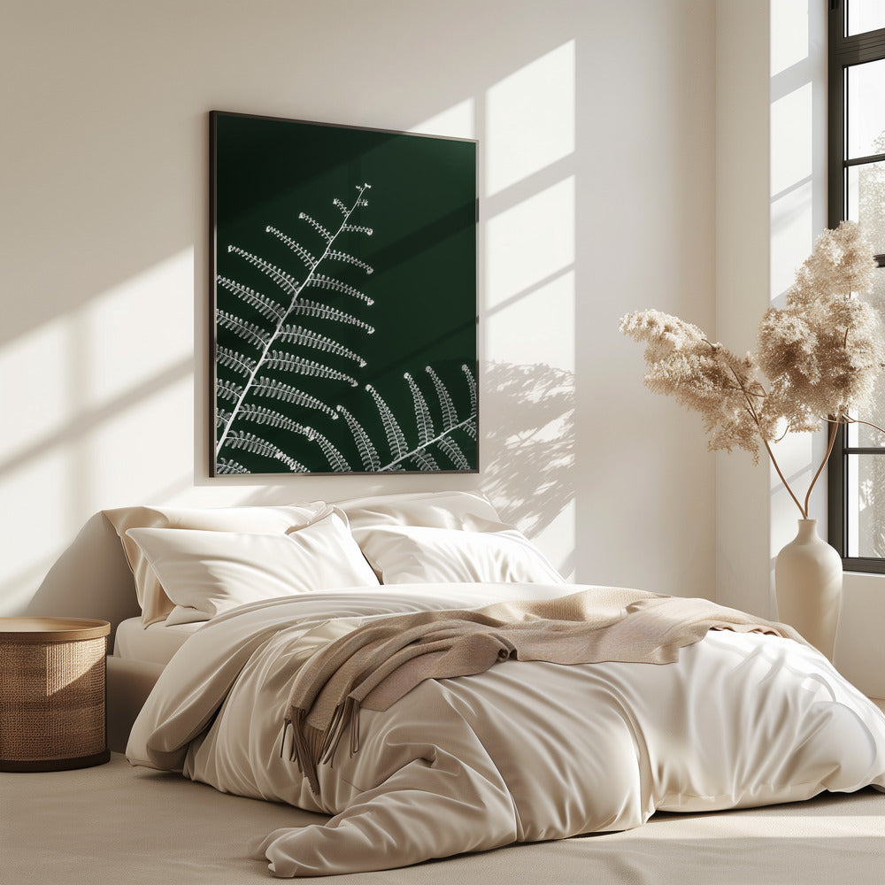 Fern's Gentle Curve | Poster