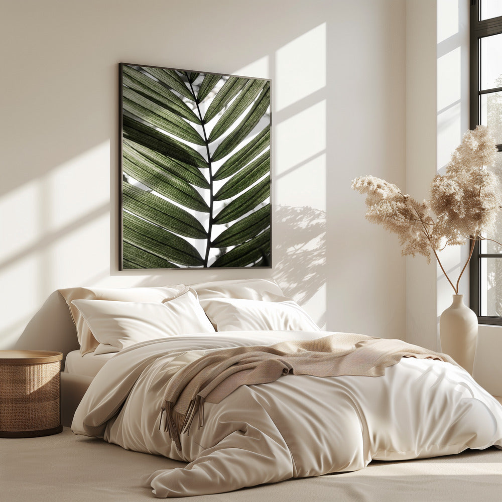 Palm Leaves 24 | Poster