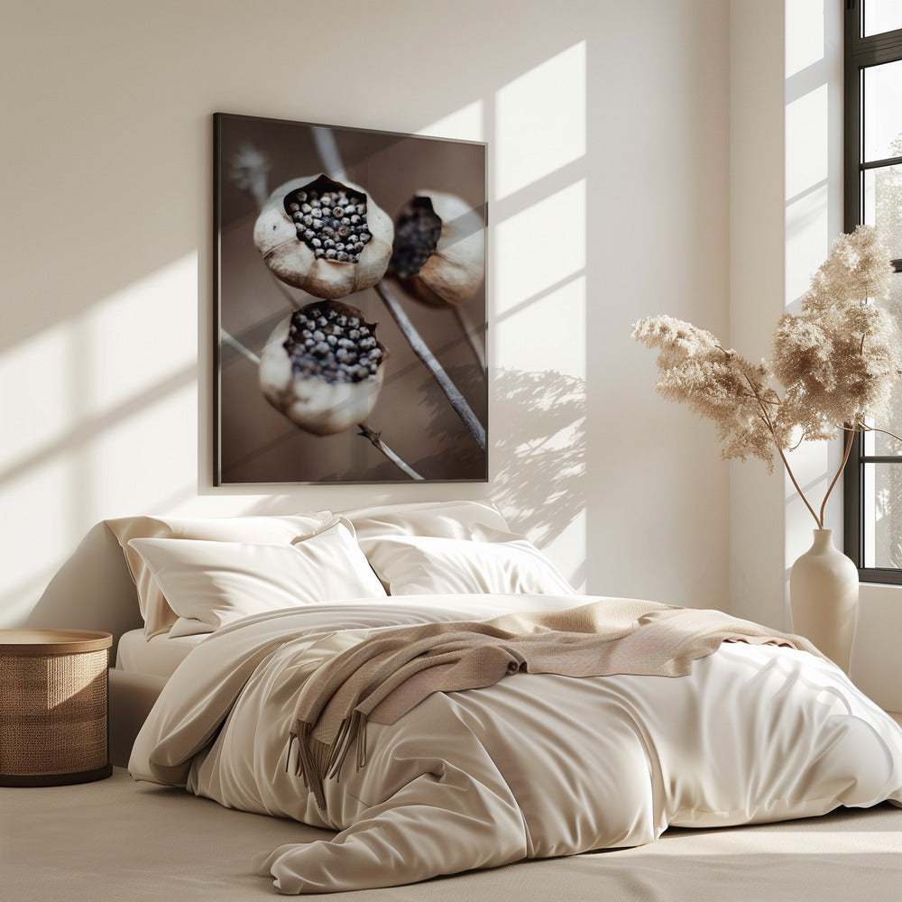 Nature's Capsules | Poster