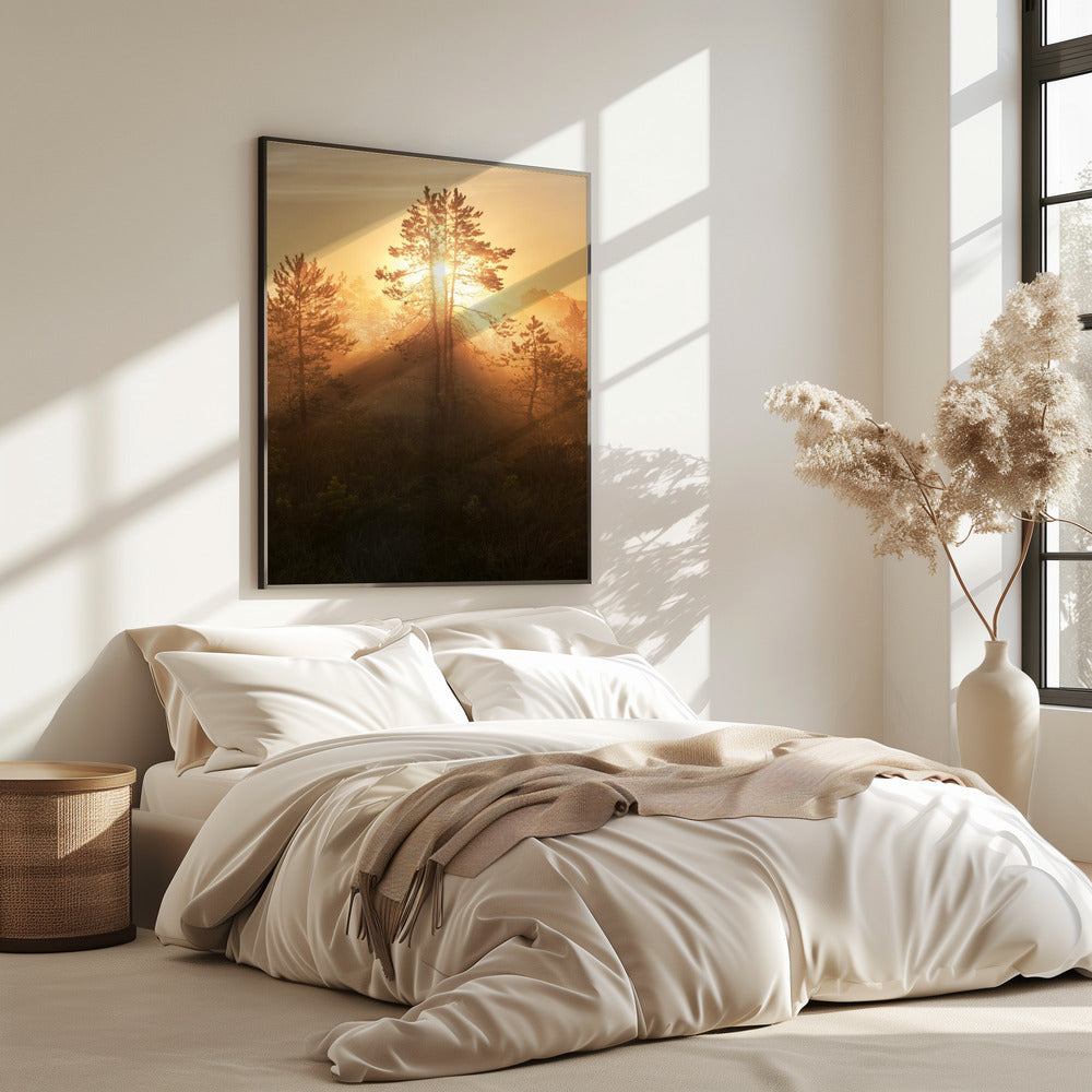 20220809 Dsf8009 Hdr 1 | Poster
