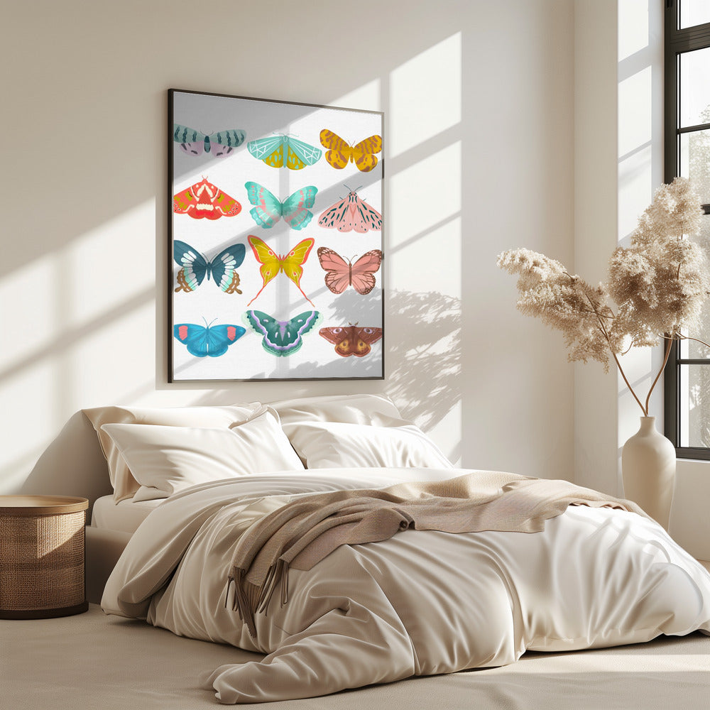 Butterfly | Poster