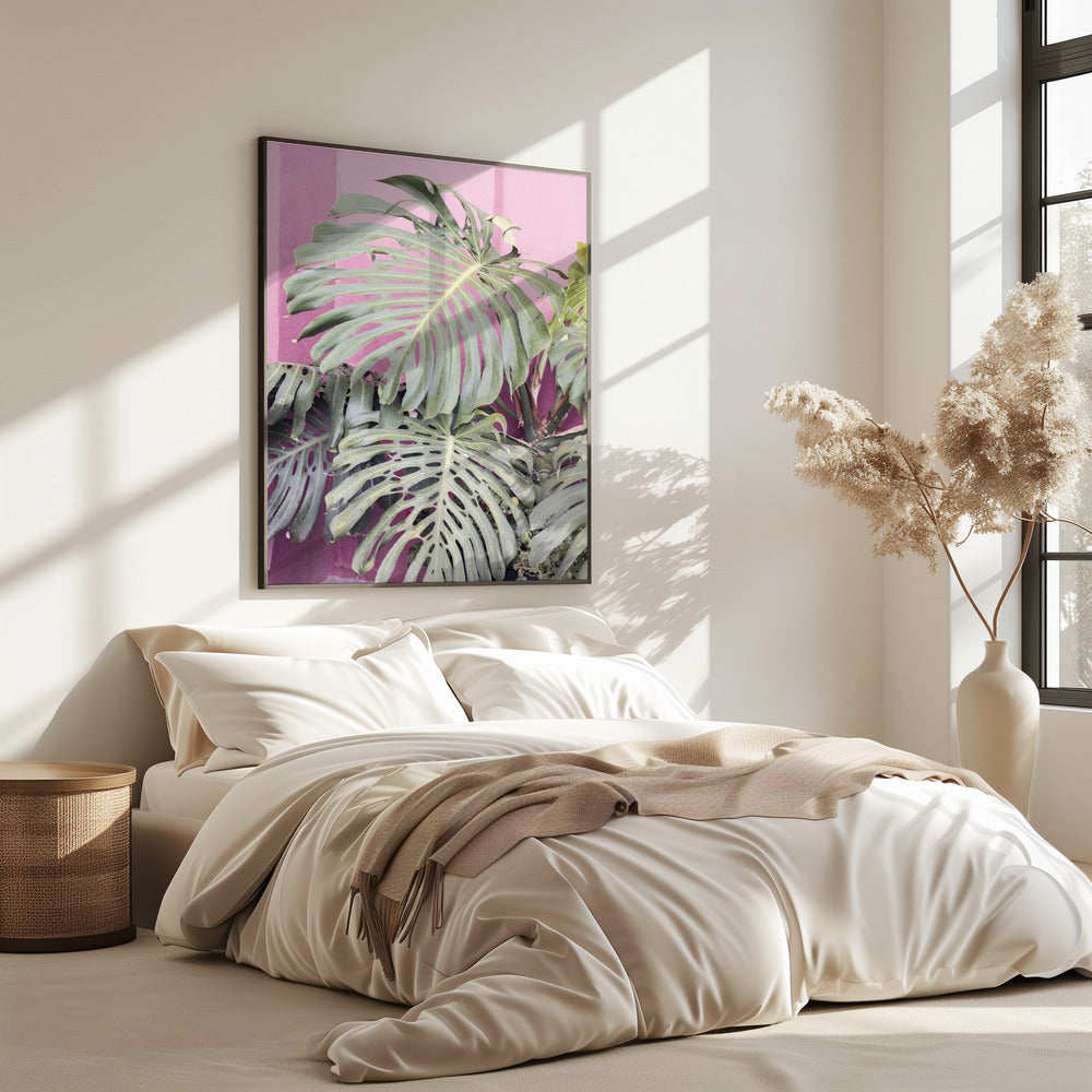 Monstera leaf La Muralla | Poster