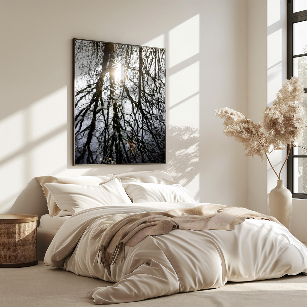 Winter Reflections 4 | Poster