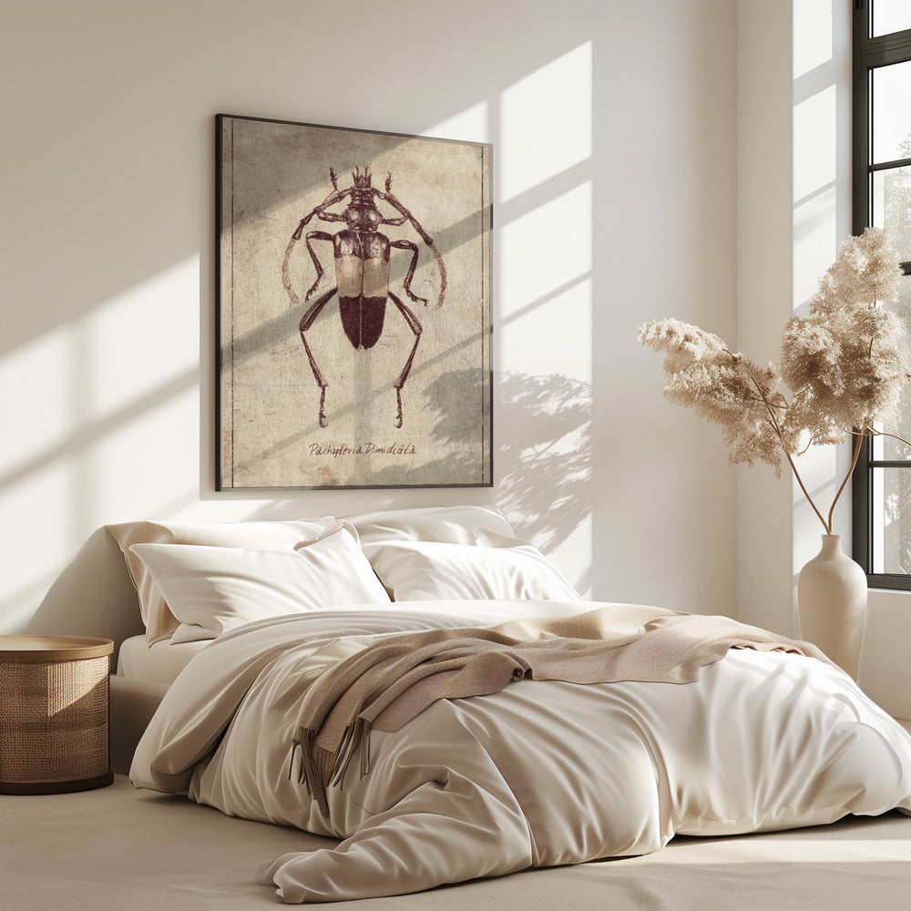 Vintage Insect Sketch | Poster