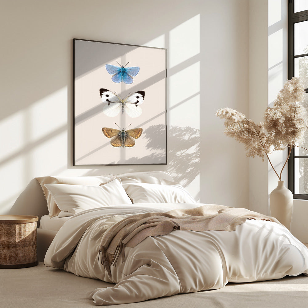 English Butterlies 2 | Poster