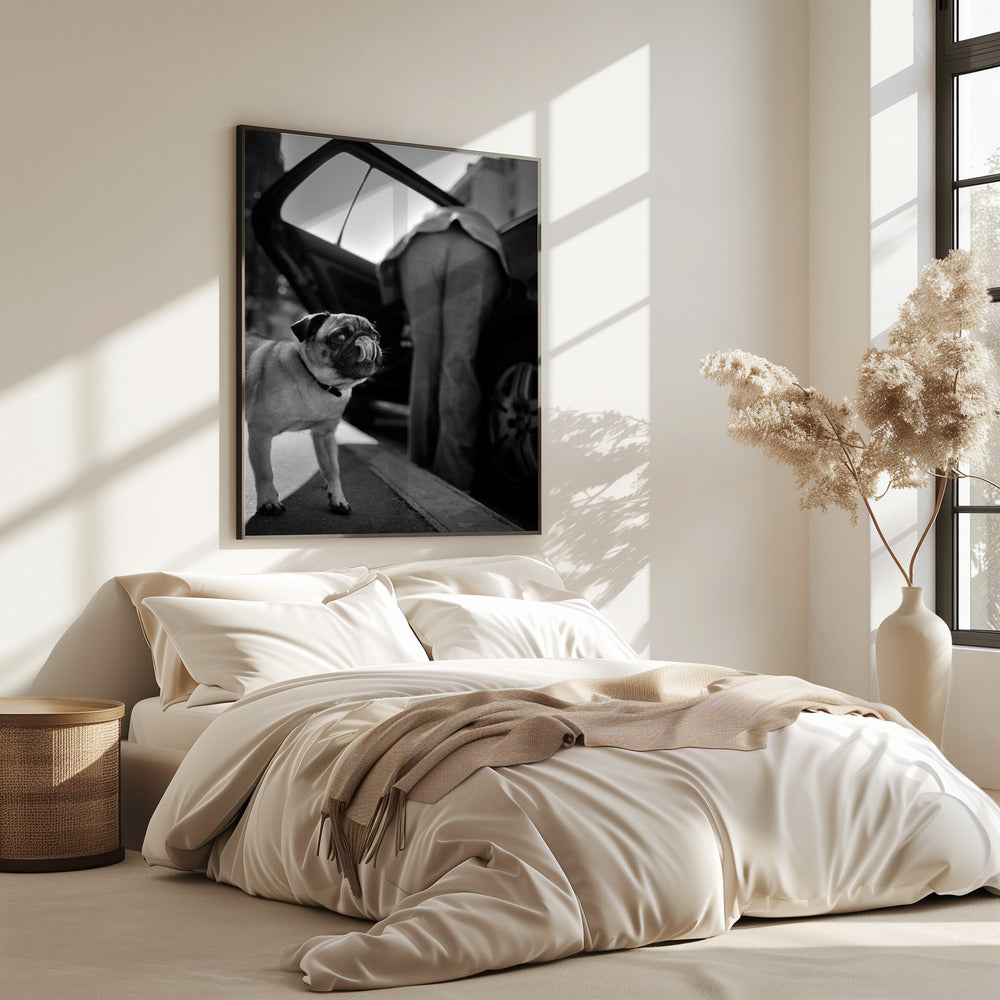 Untitled | Poster