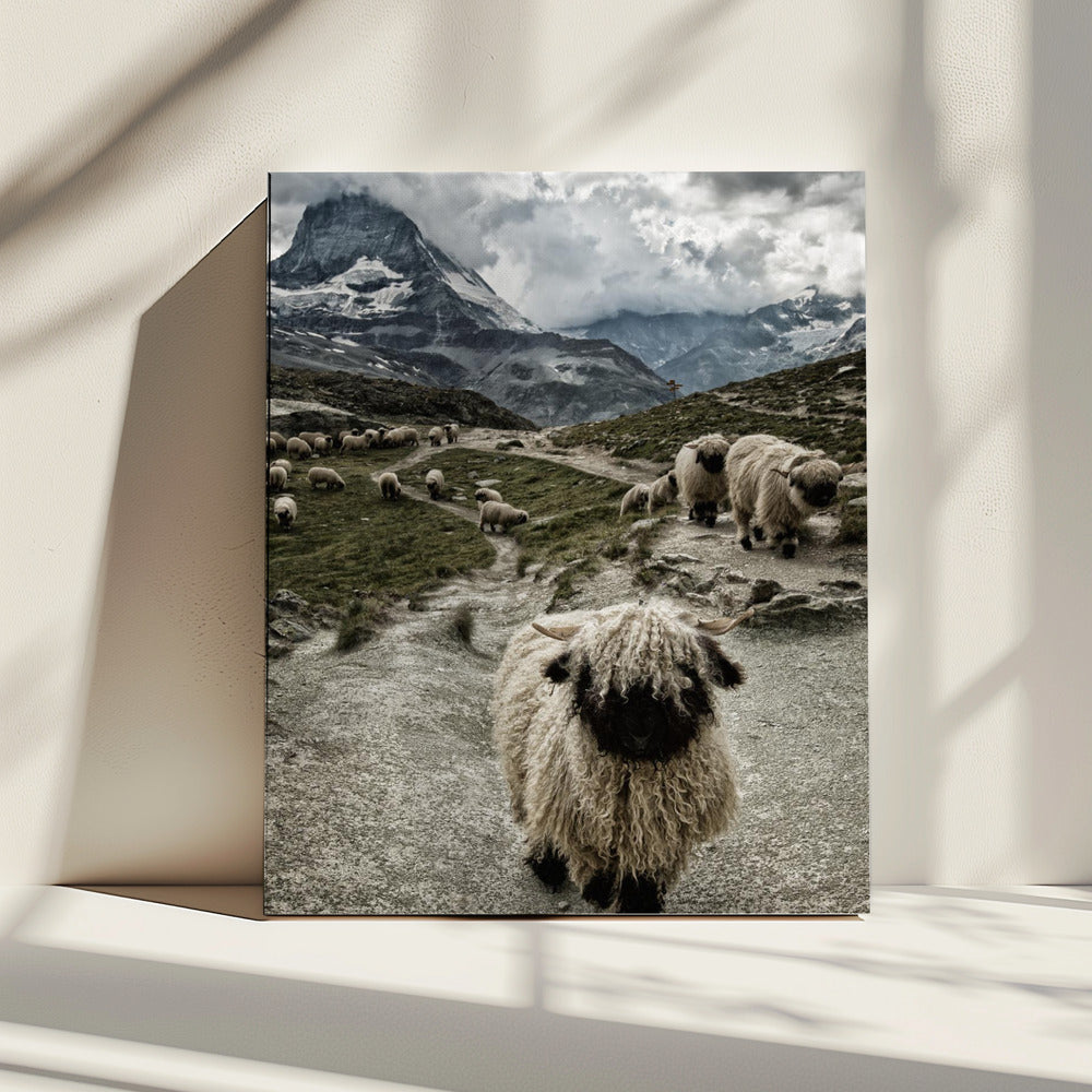 Out of my way | Canvas