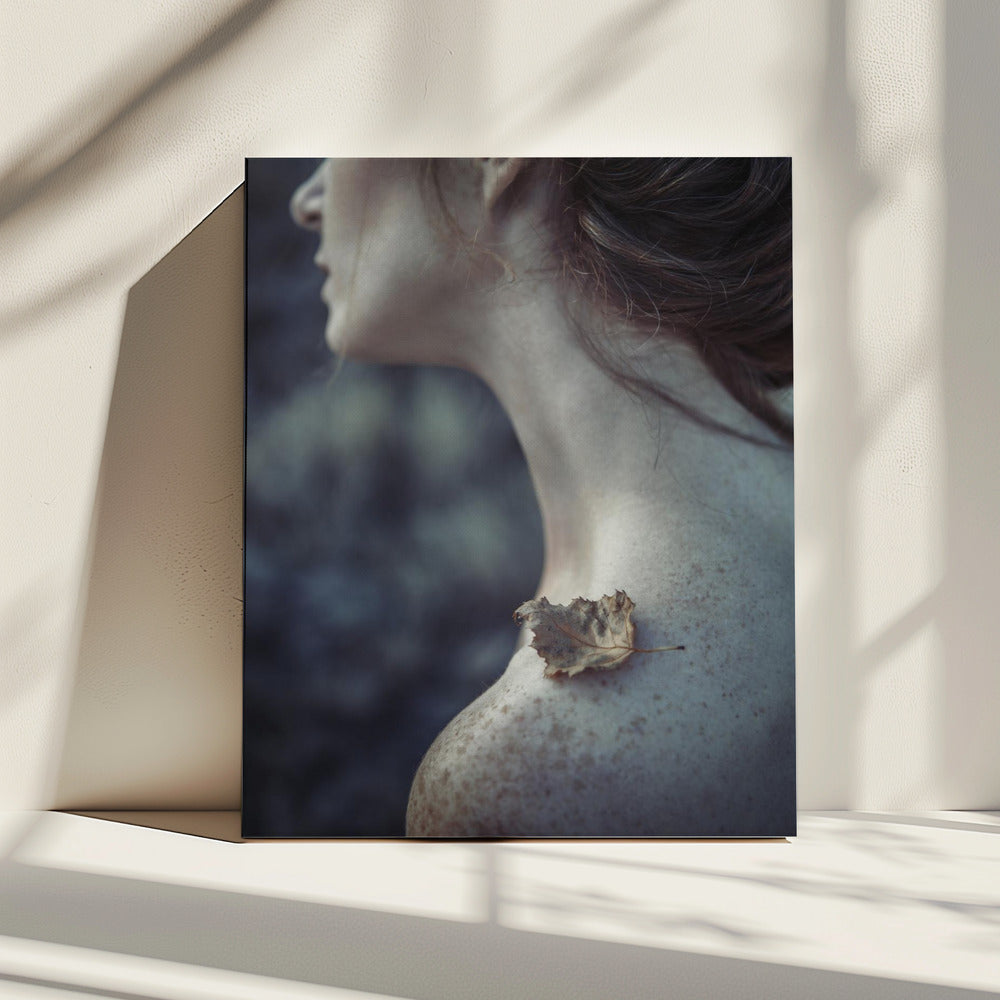 the leaf | Canvas