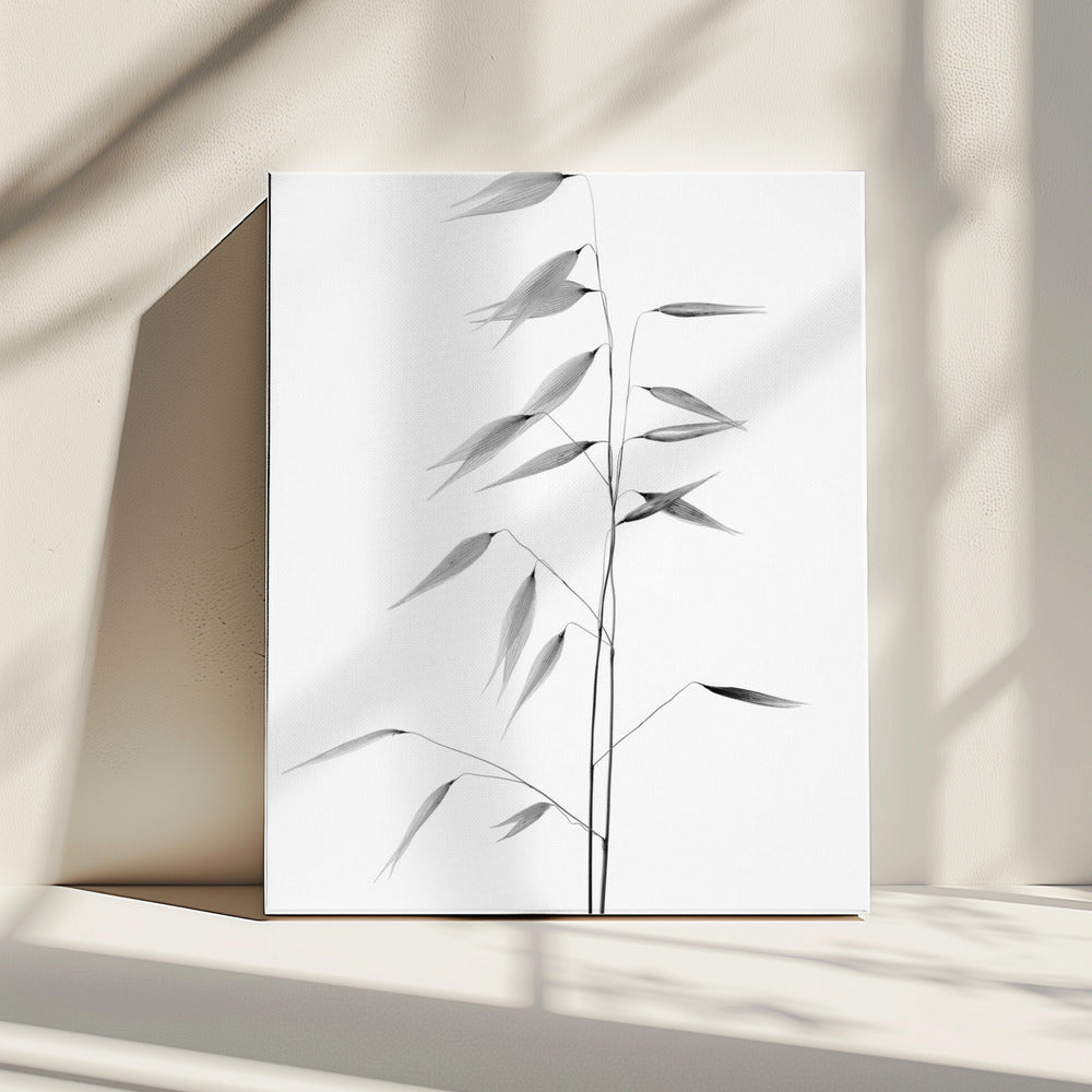 Sharpness of the nature | Canvas