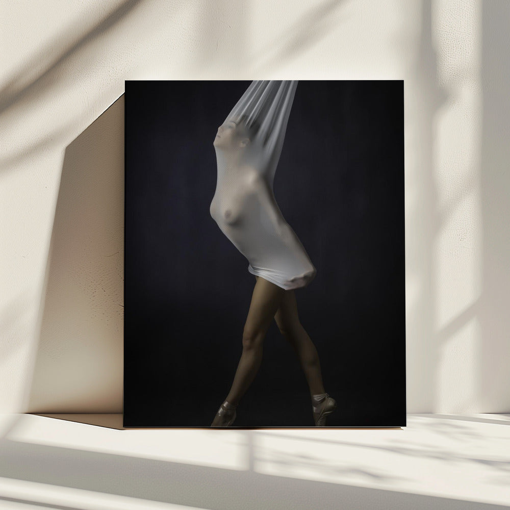 Sheer Stretch | Canvas