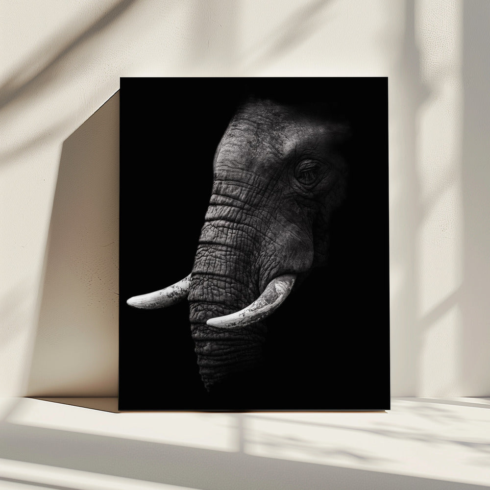 Portrait | Canvas