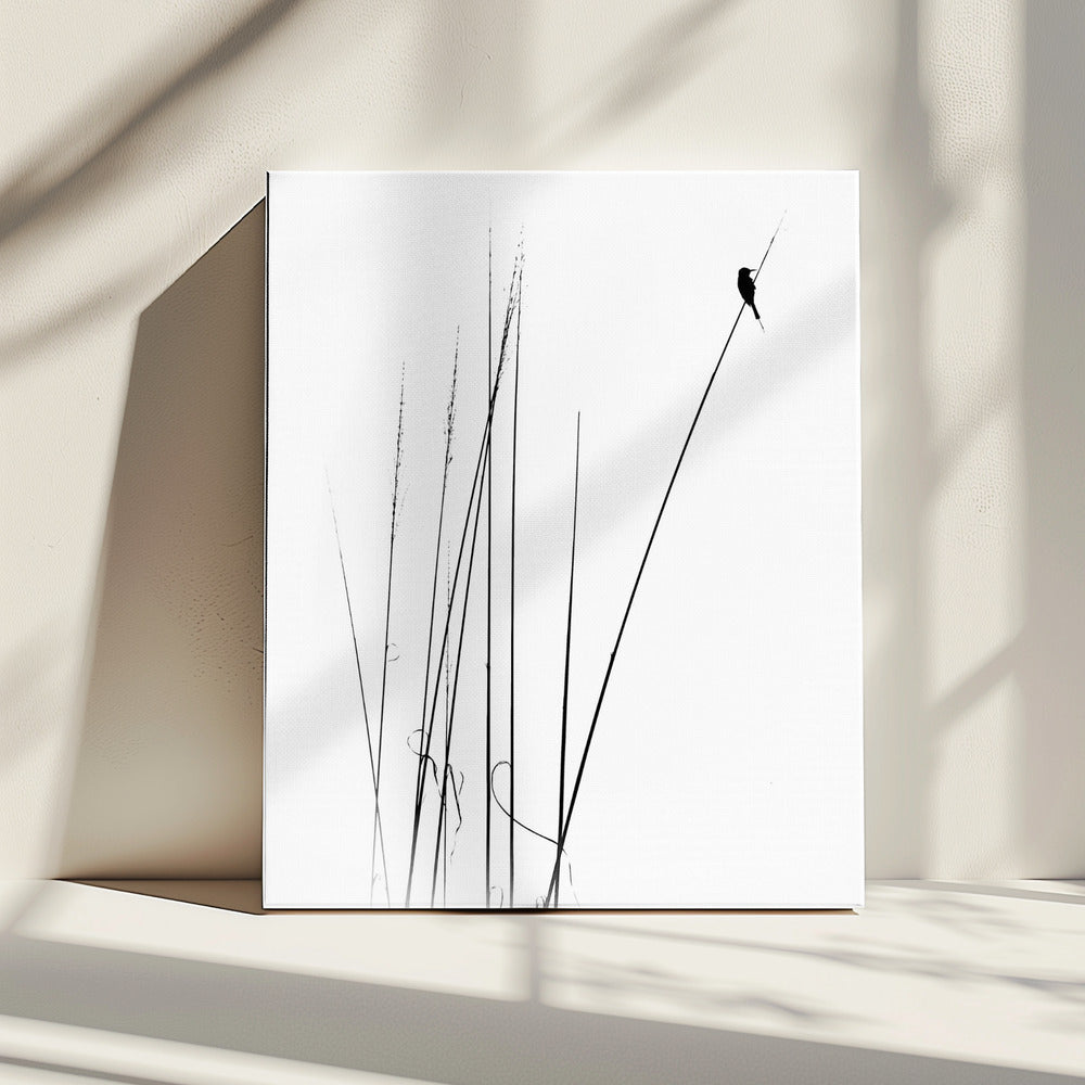 a sabbatical | Canvas