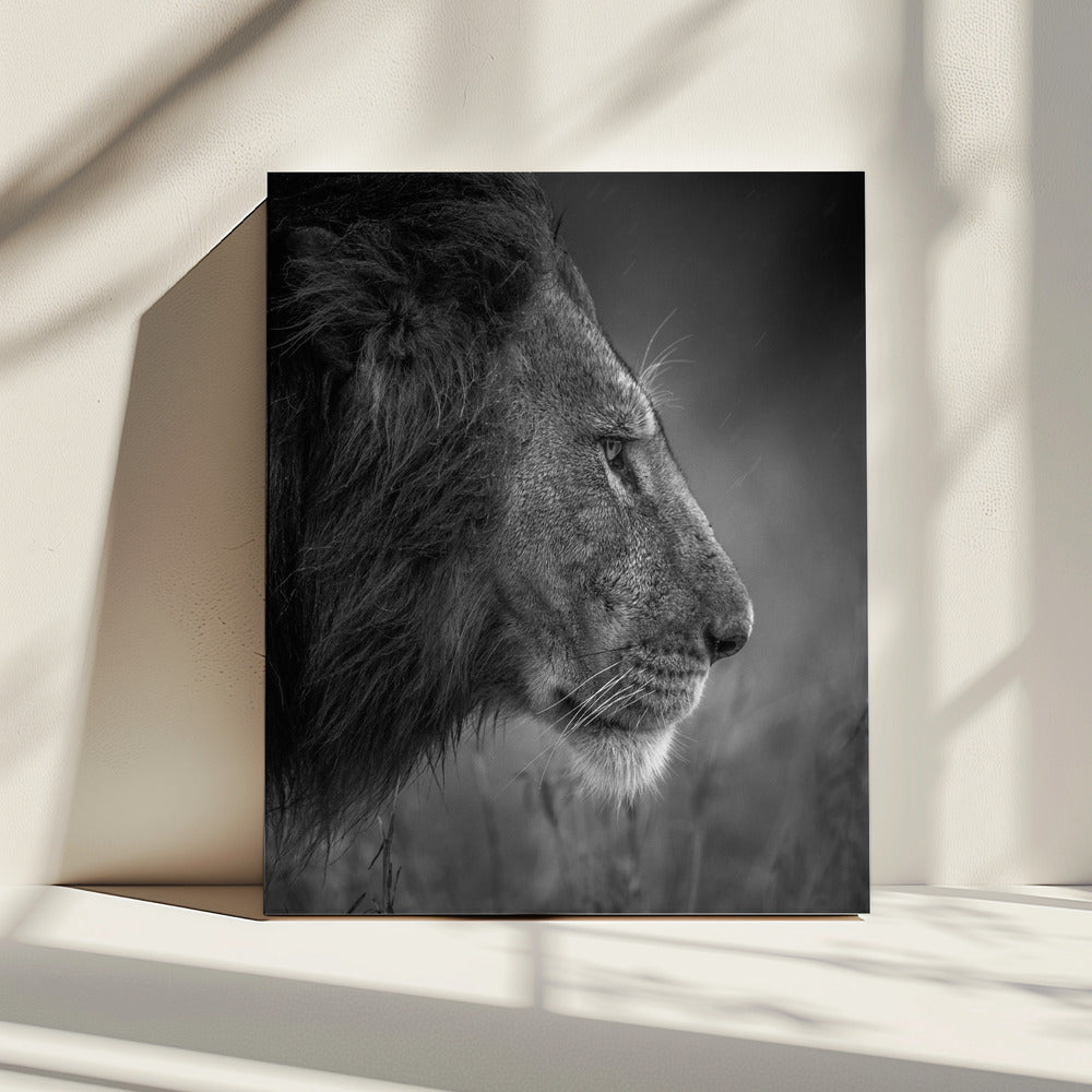Thinking Under The Rain | Canvas