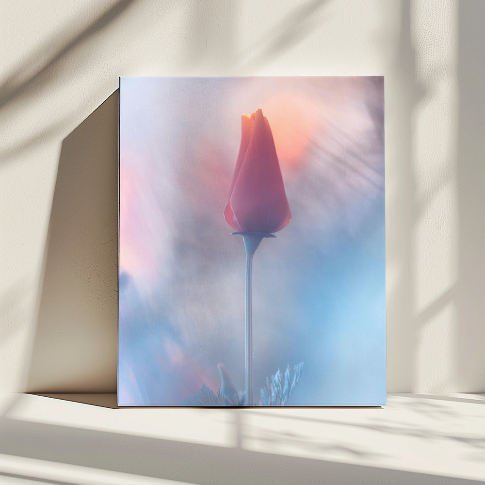 Douceur & Volupté | Canvas
