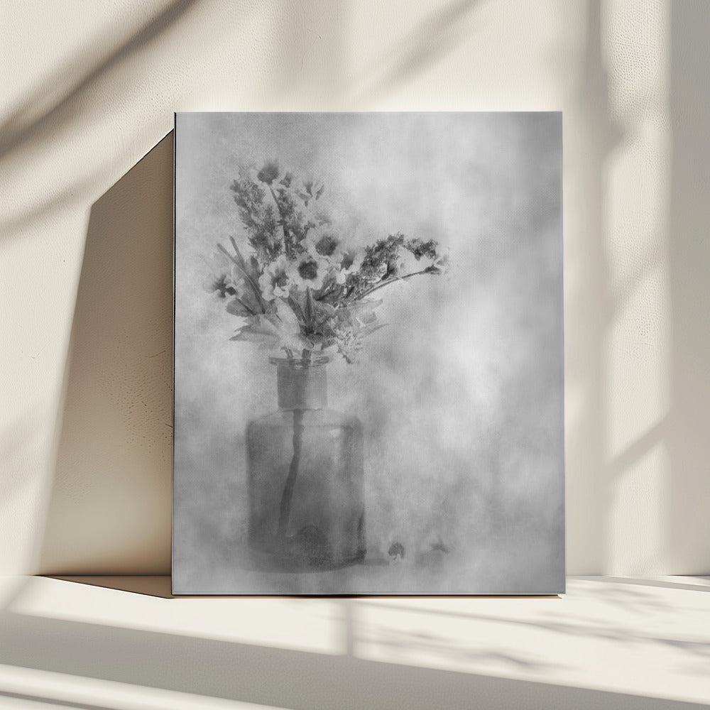 Faded | Canvas
