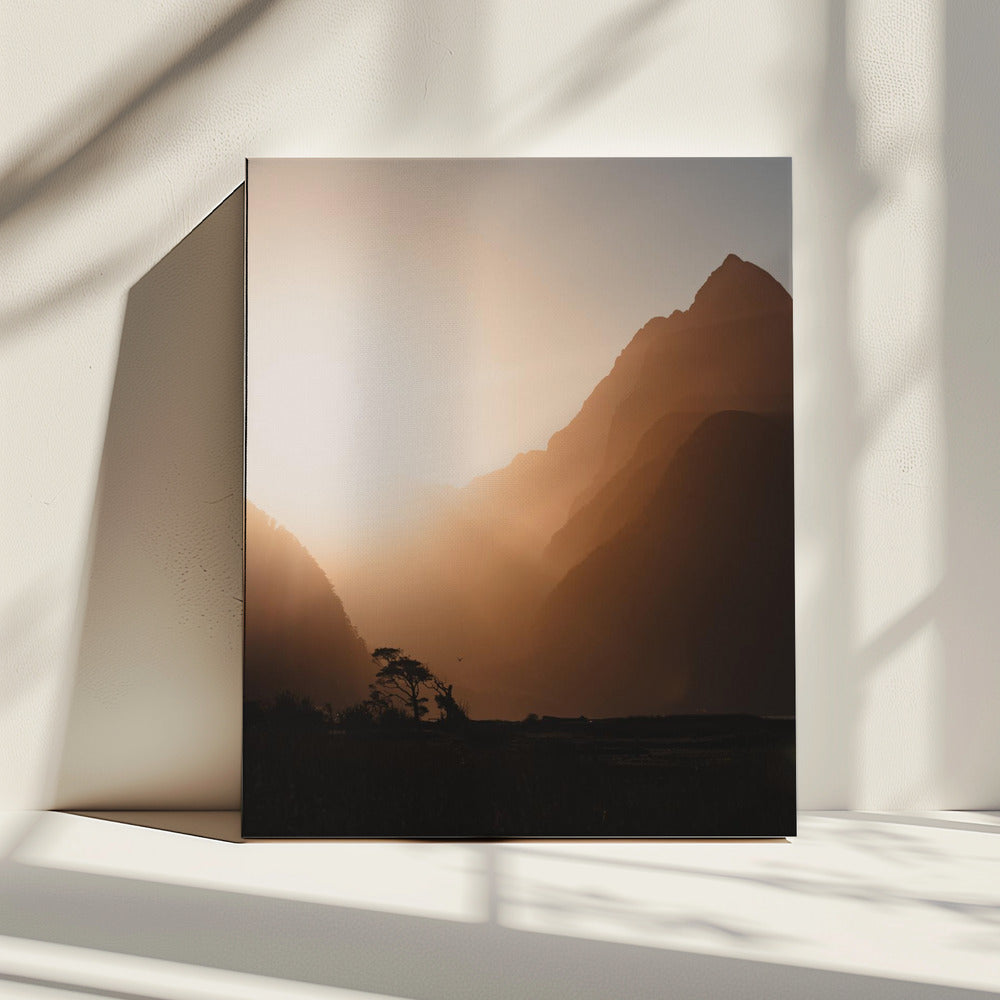 Rage, rage against the dying of the light. | Canvas