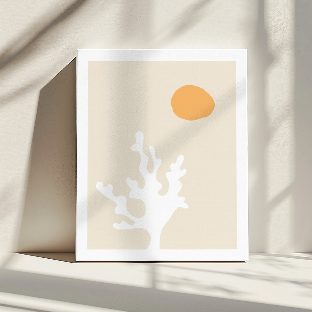 Seaweed in the Sun | Canvas