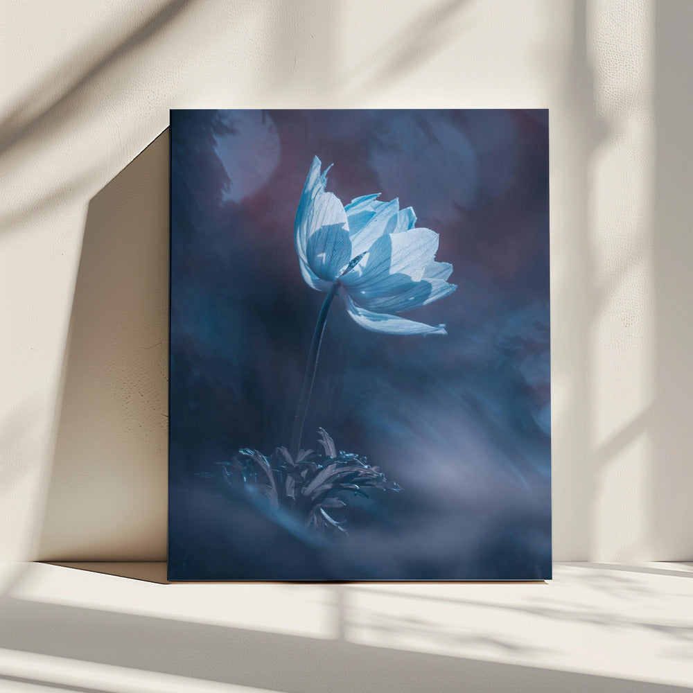 Dream on | Canvas