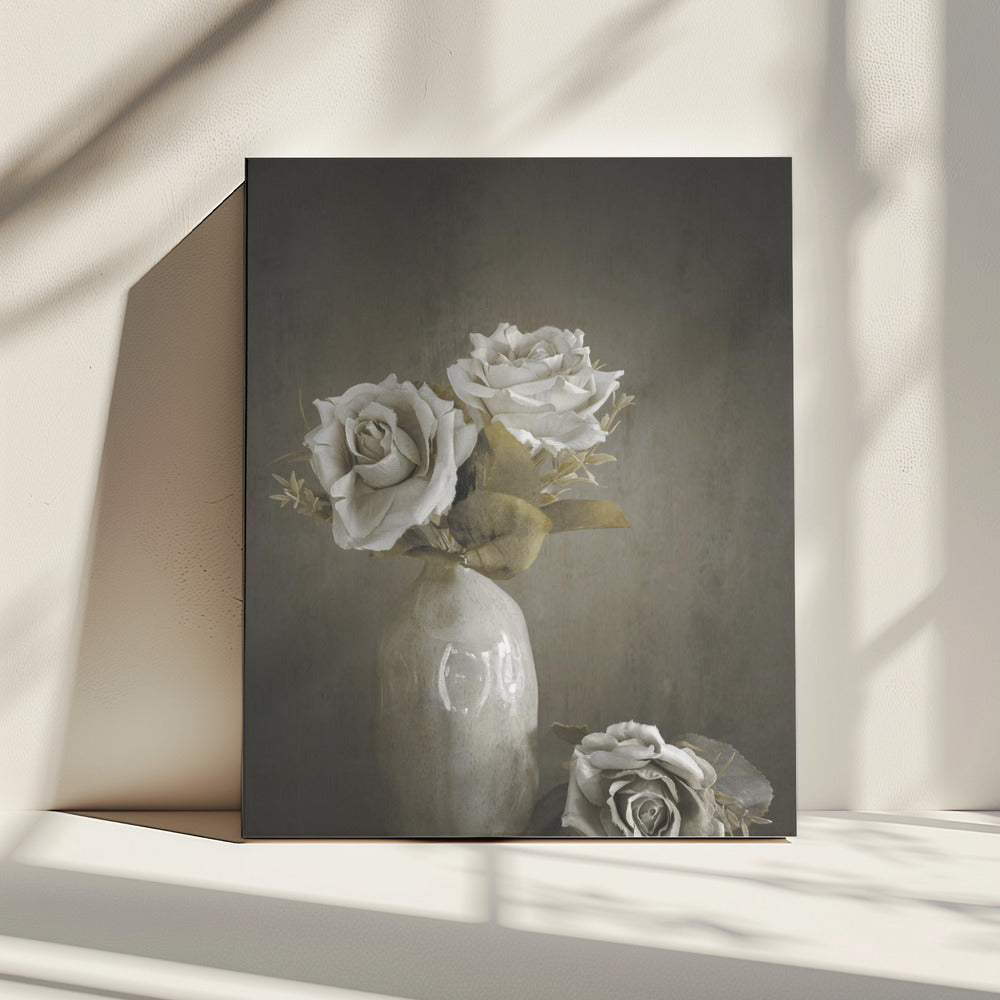 Softened | Canvas
