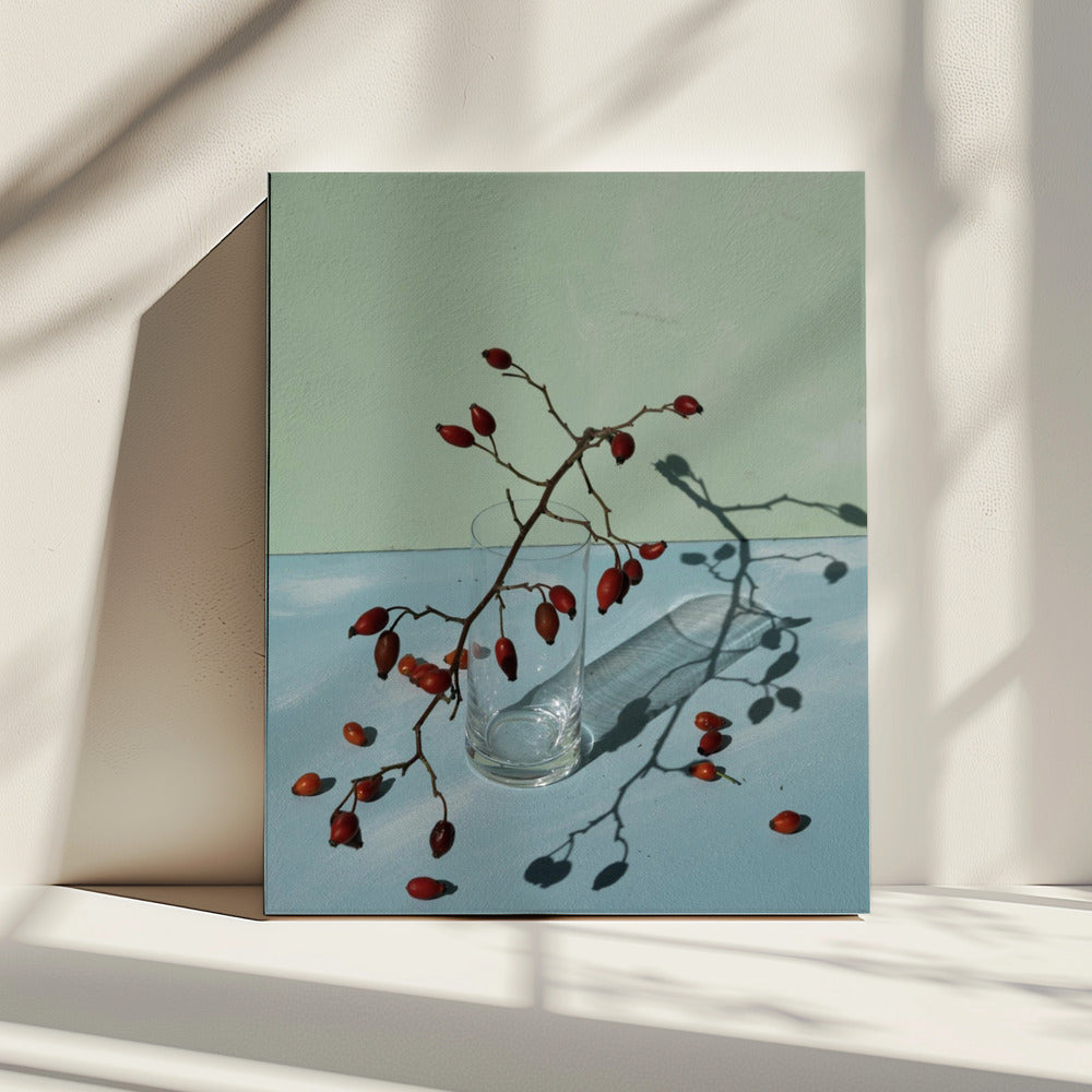 Light & shadow | Canvas