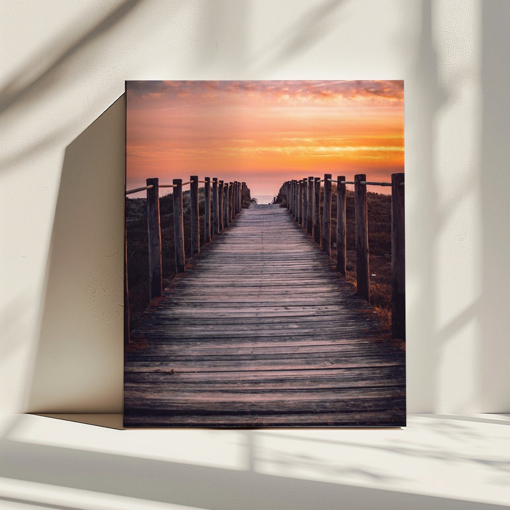 The path | Canvas