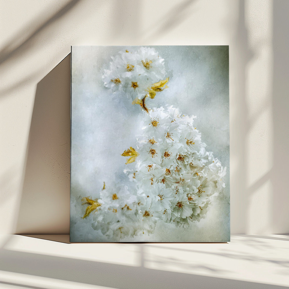 Cherry blossoms | Canvas