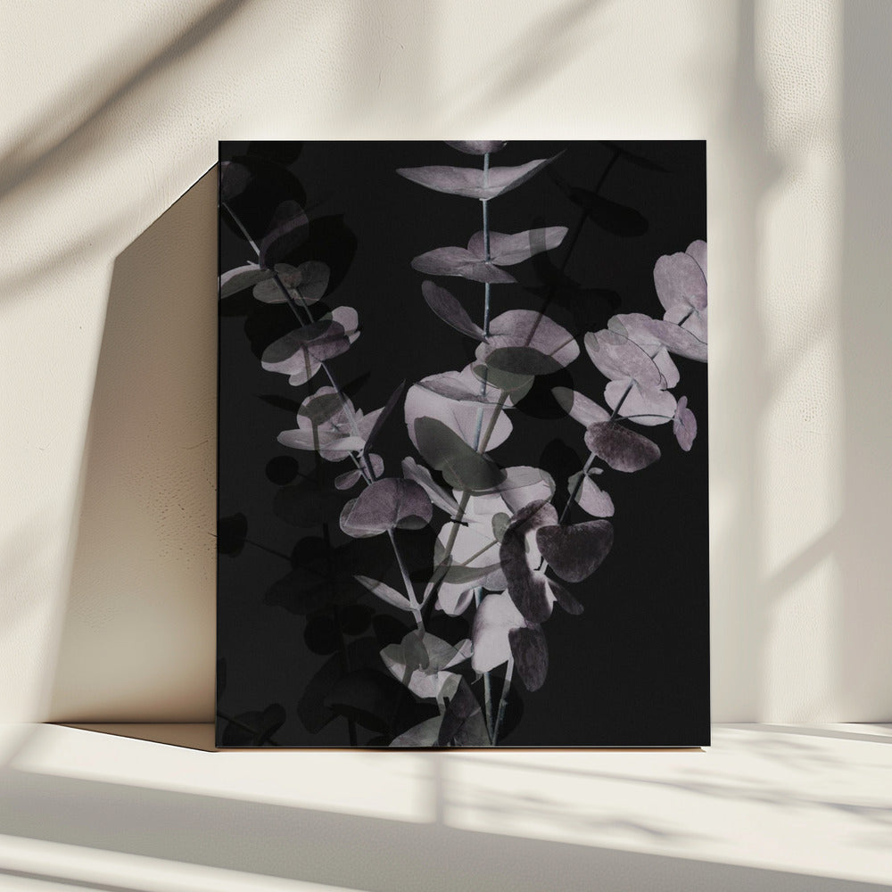 Eucalyptus_Negative_001 | Canvas