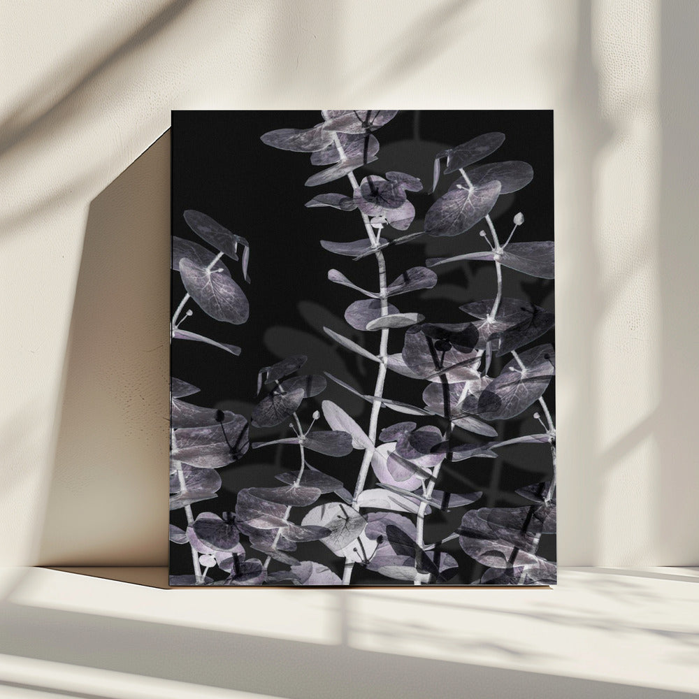 Eucalyptus_Negative_002 | Canvas