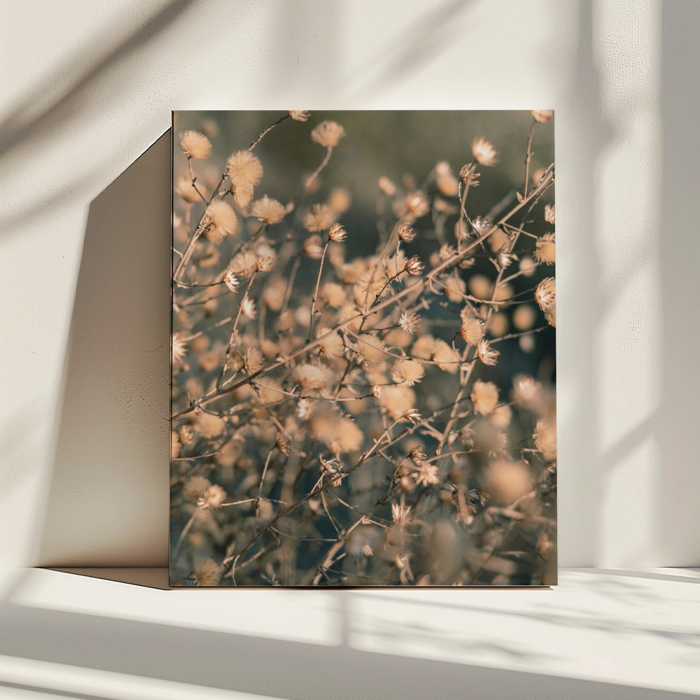 Beach flowers_003 | Canvas