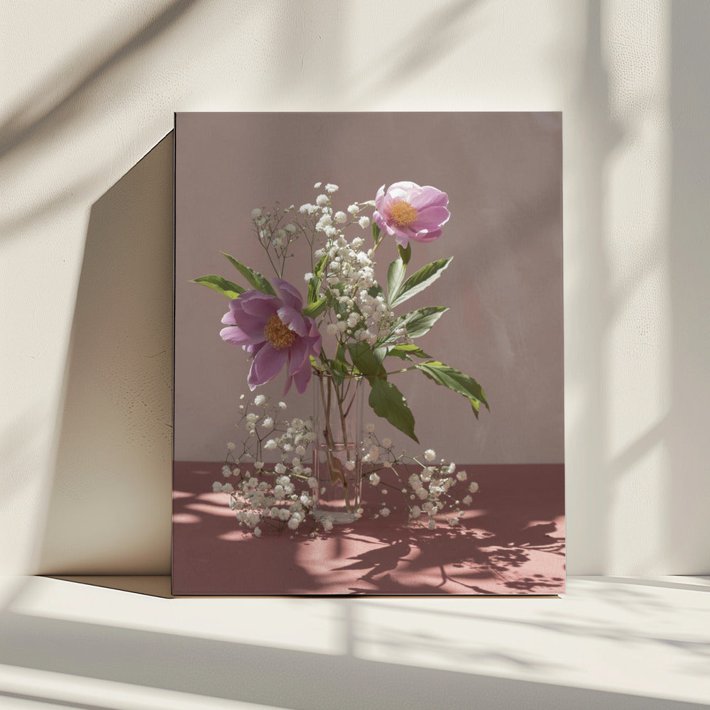 Light & shadow | Canvas