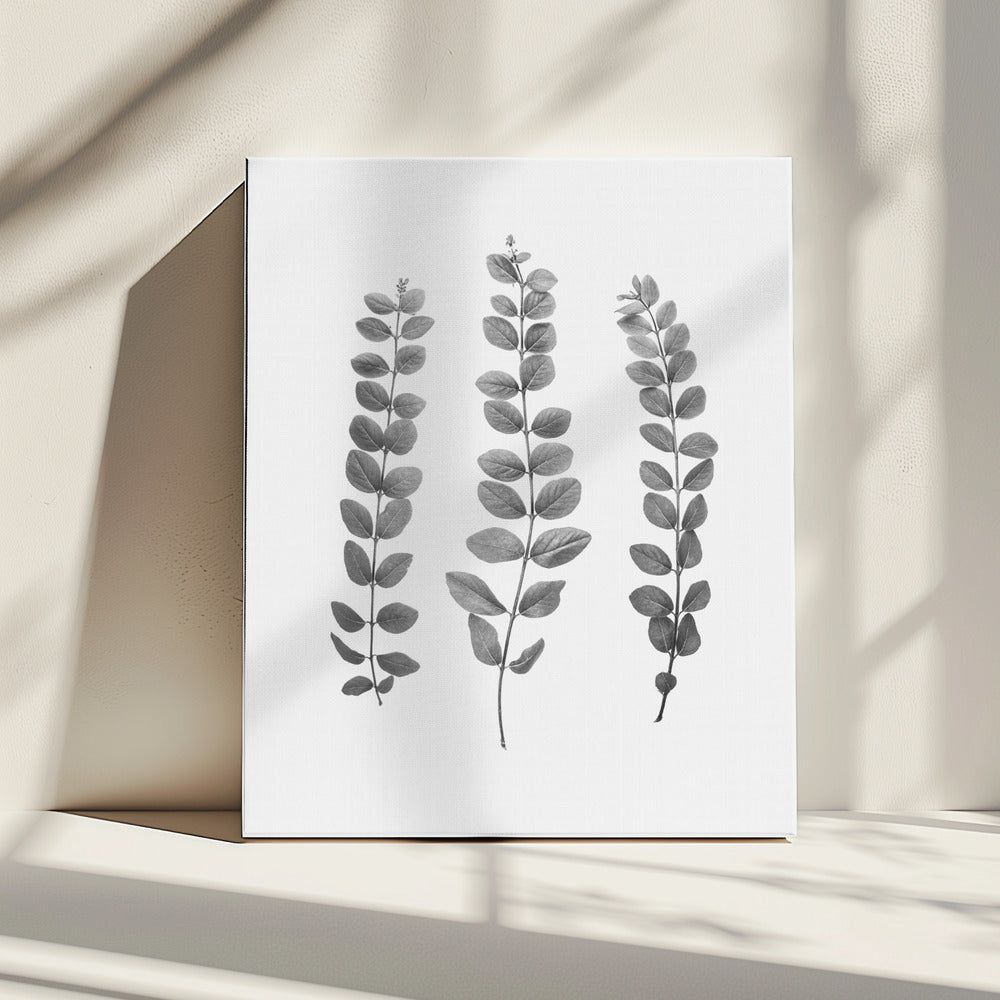 Twigs | Canvas