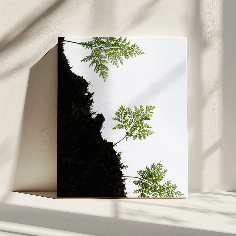 Fern Detail vertical | Canvas