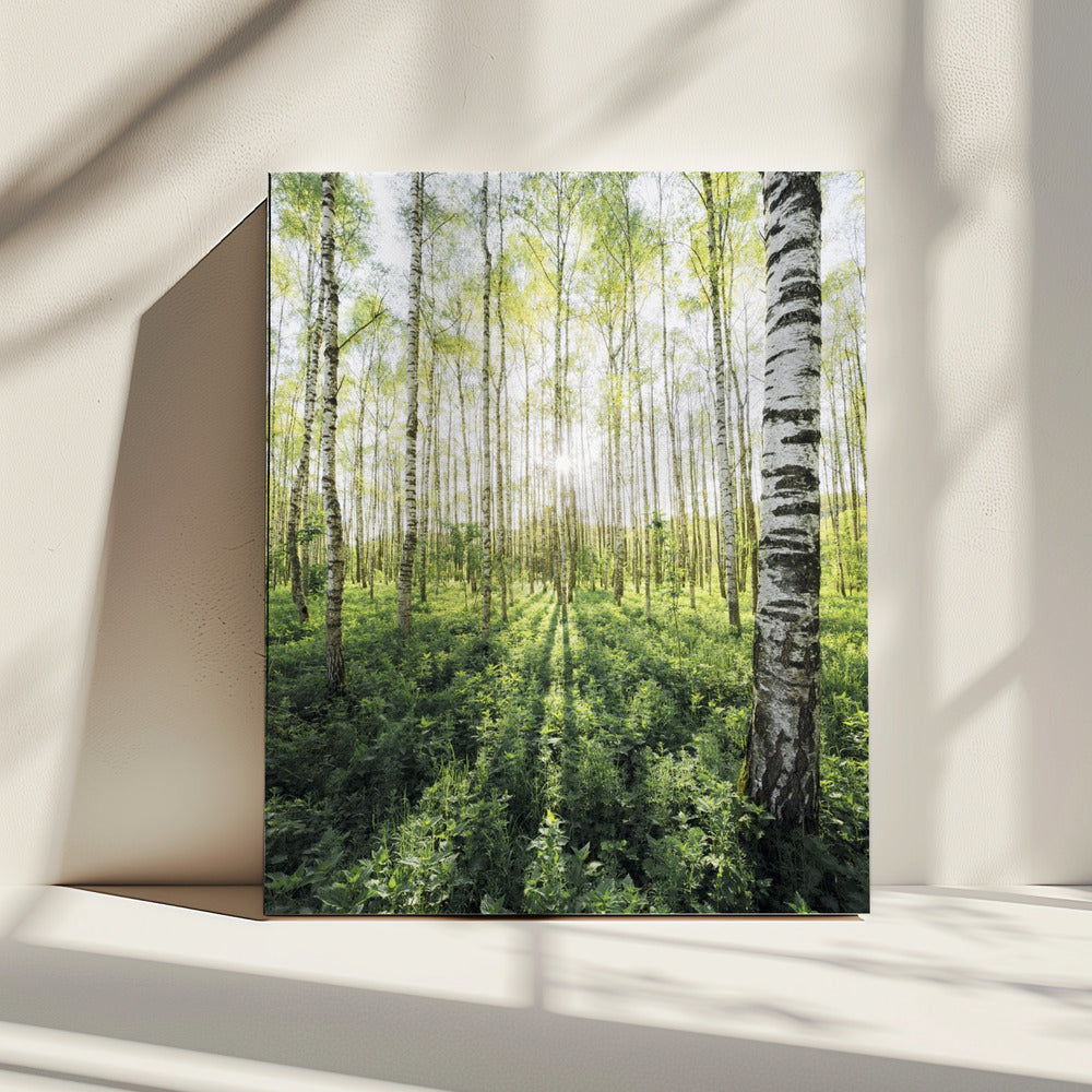Birch Grove vertical | Canvas