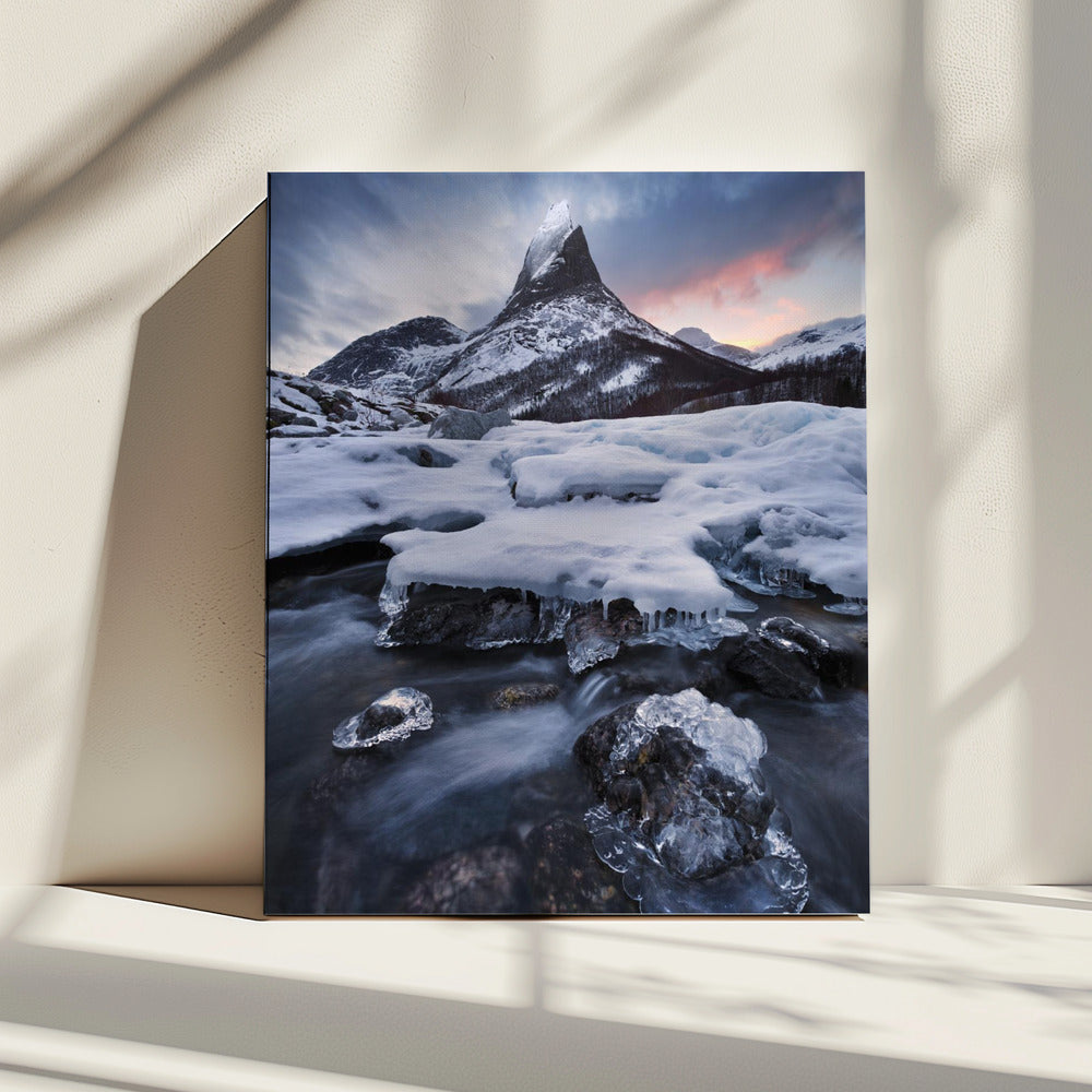Icy Coronation | Canvas