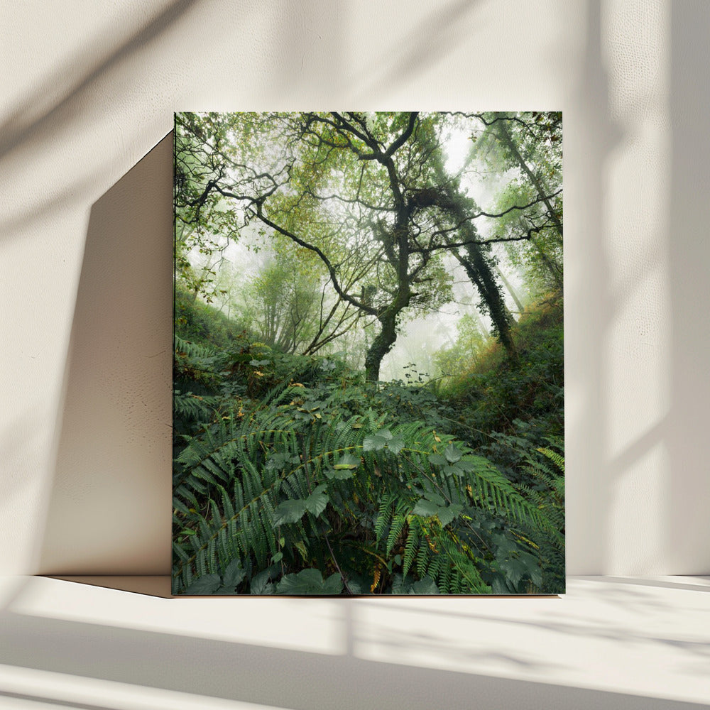 Tree World | Canvas