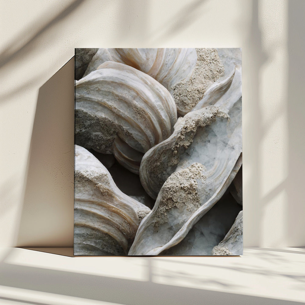 Shell Symphony | Canvas