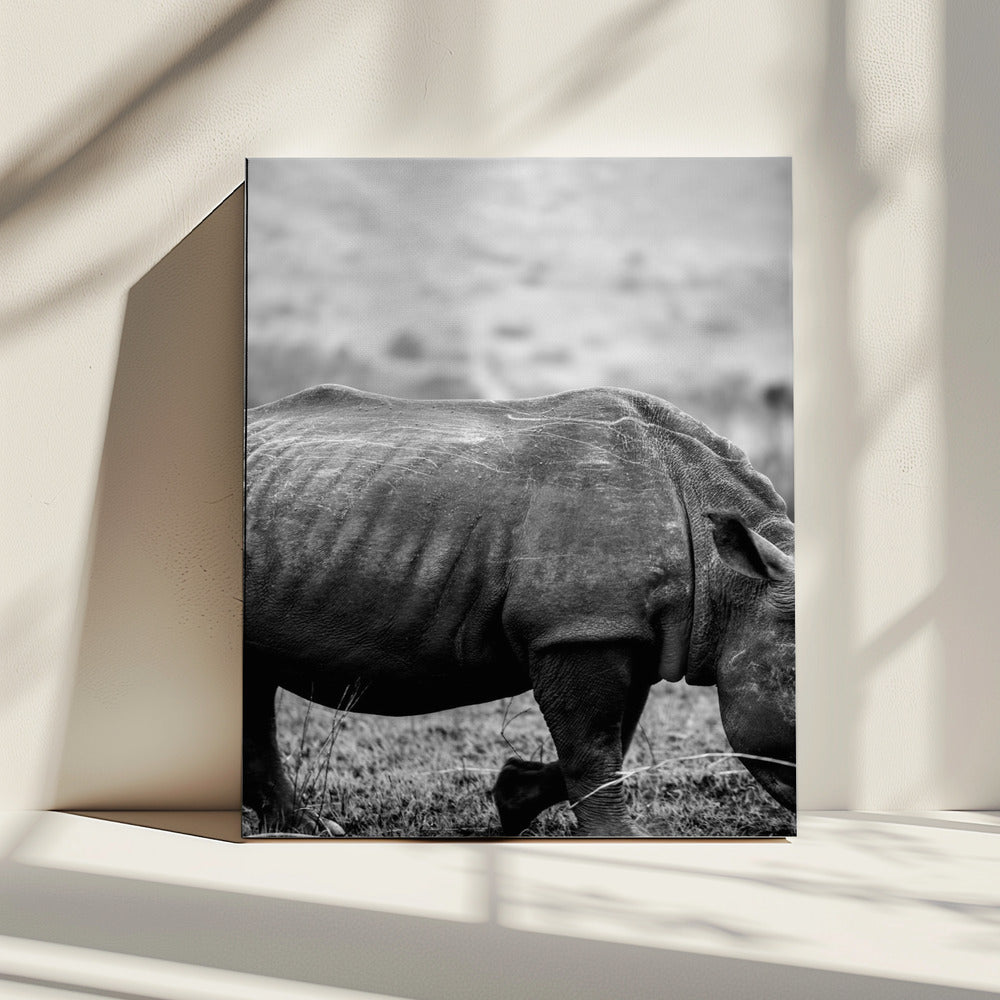 Gentle Giant Stroll | Canvas