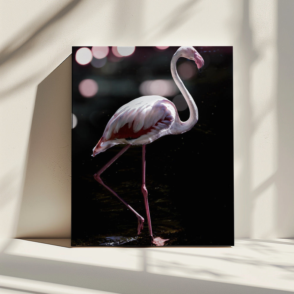Elegant Flamingo | Canvas