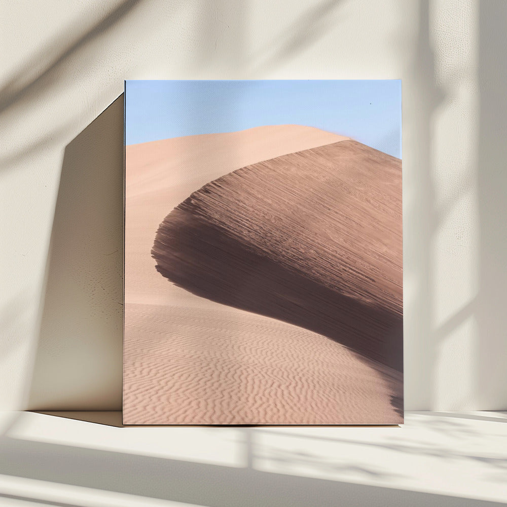 Desert's Graceful Curve | Canvas