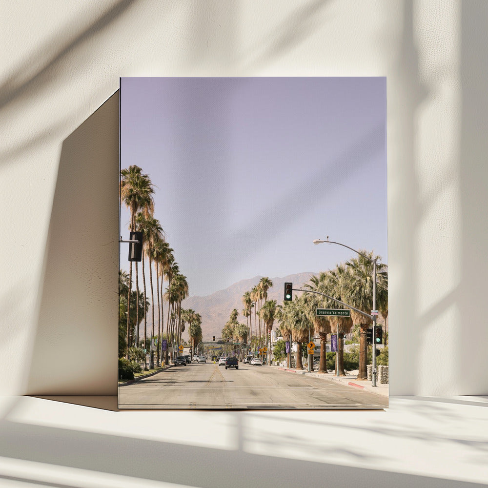 Palm-Lined Avenue | Canvas