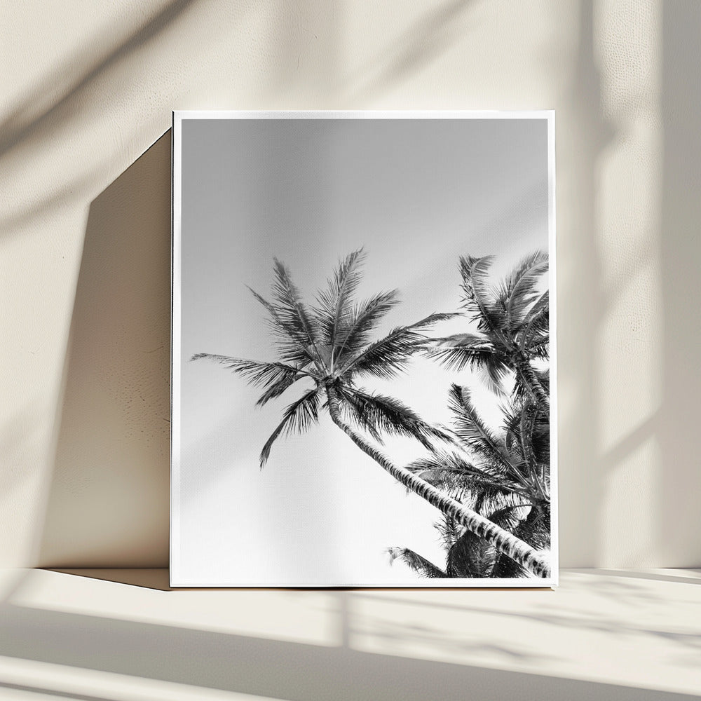 Tropical Silhouettes | Canvas