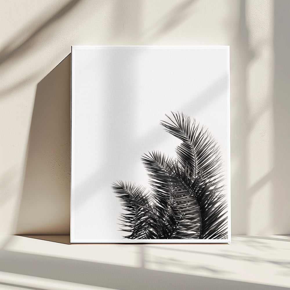 Palm Whisper | Canvas
