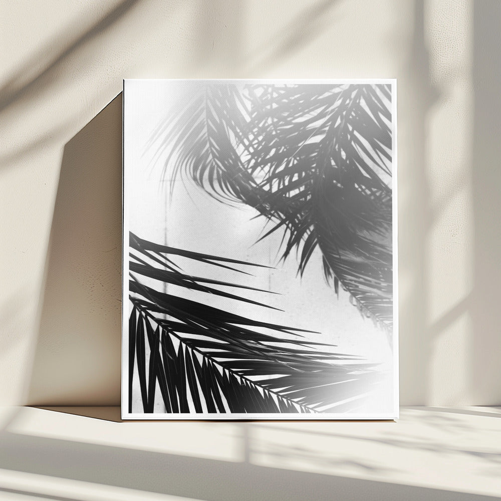 Palm Silhouettes | Canvas