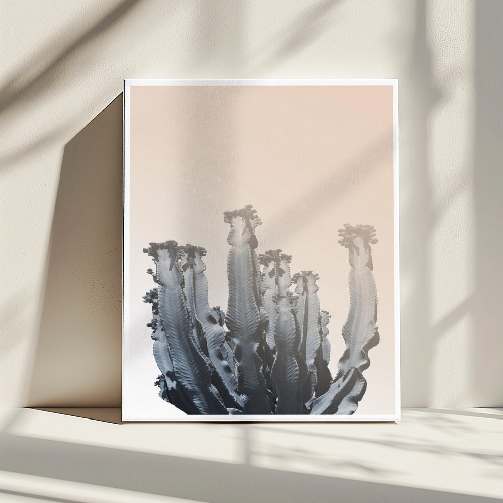 Cactus Silhouettes | Canvas