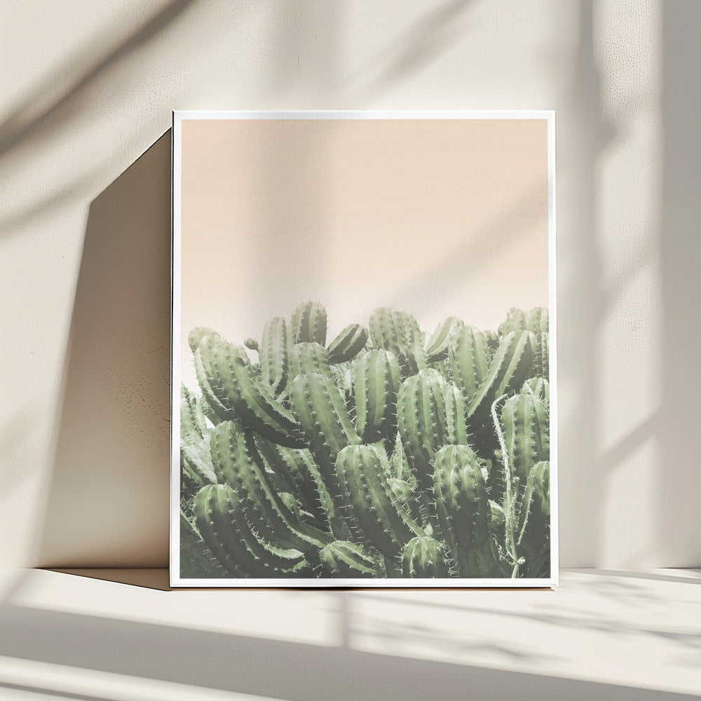 Desert’s Embrace | Canvas