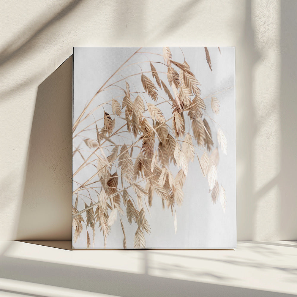 Unknown 4 | Canvas