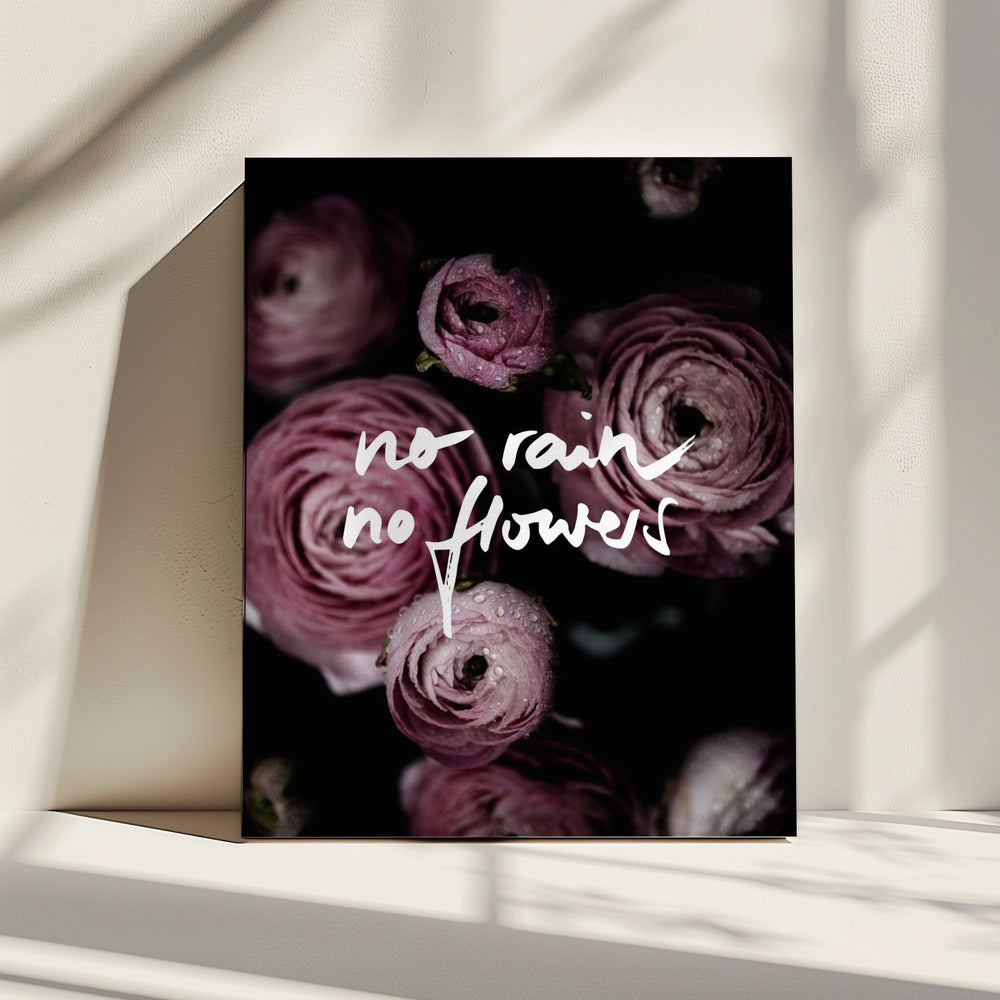 No Rain No Flowers 2 | Canvas